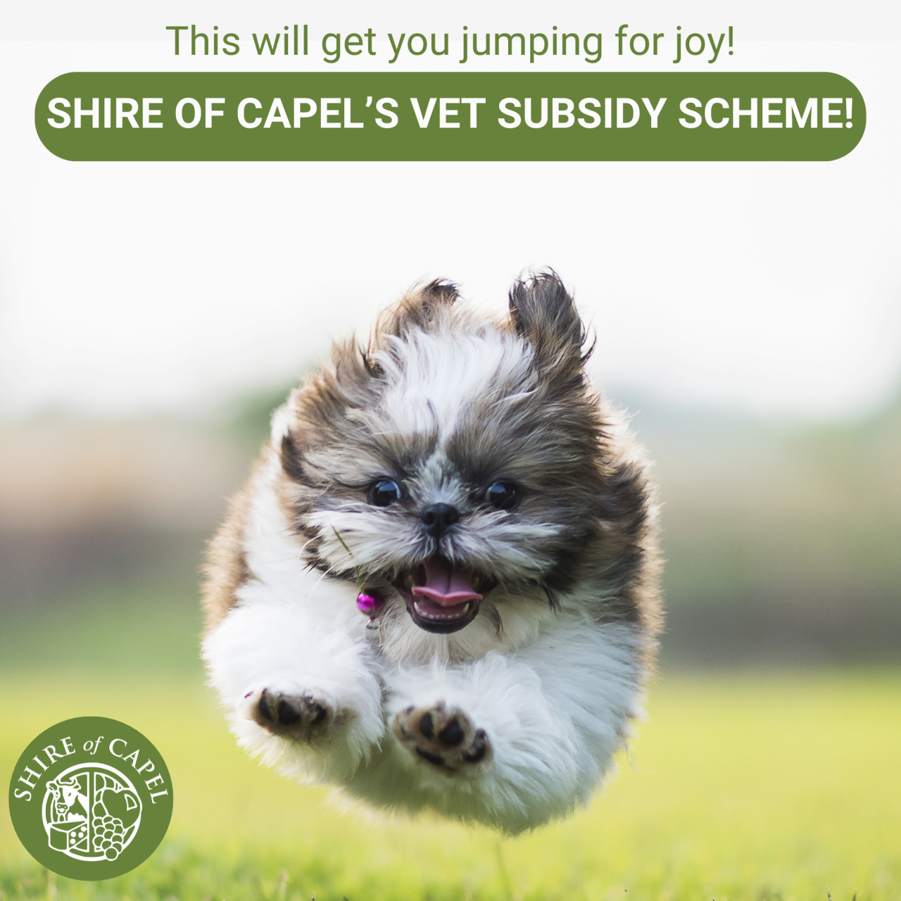 Shire of Capel's Vet Subsidy Scheme Image