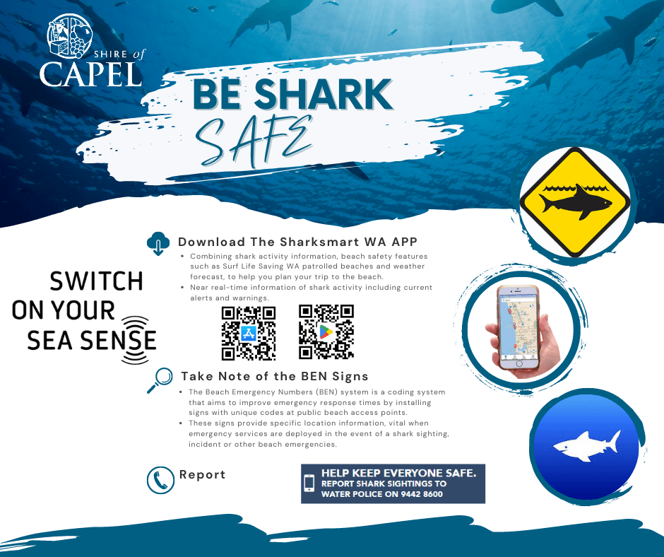 Be shark safe flyer