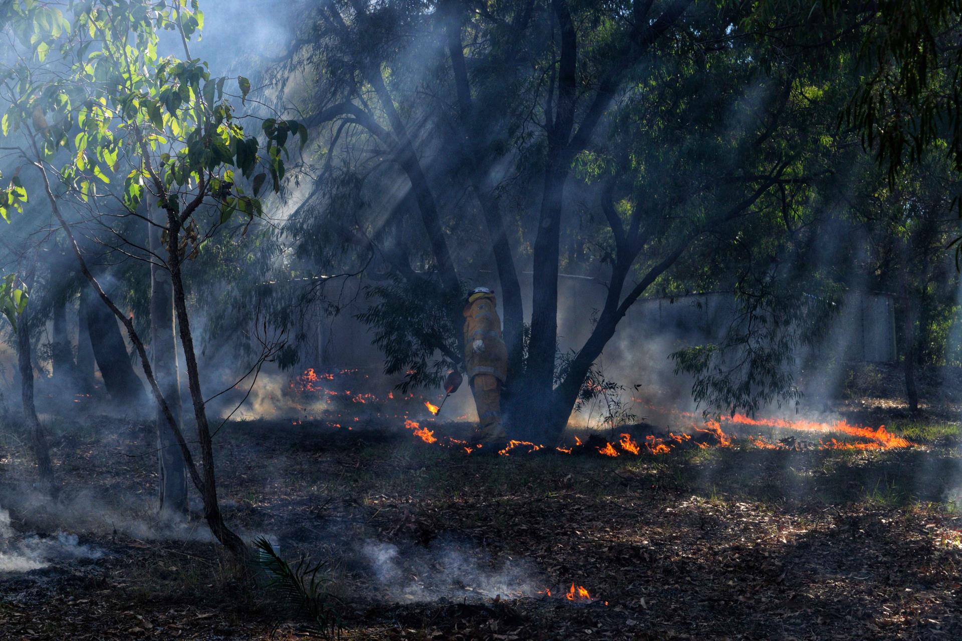 Fire Management Image