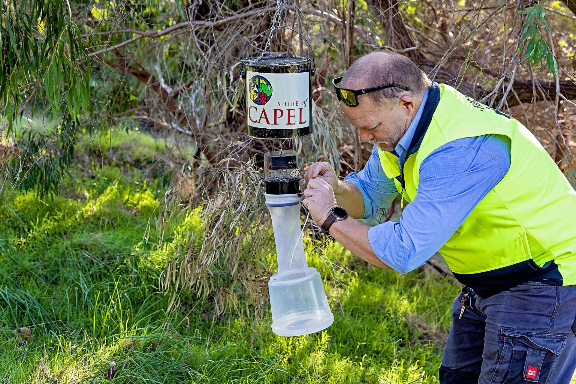 Mosquito Control Image