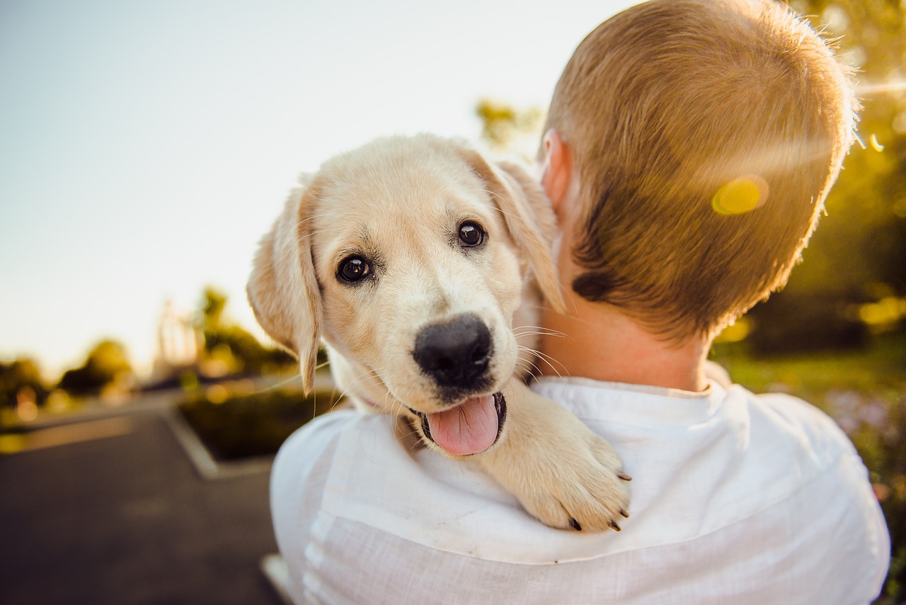 Dog hugging man