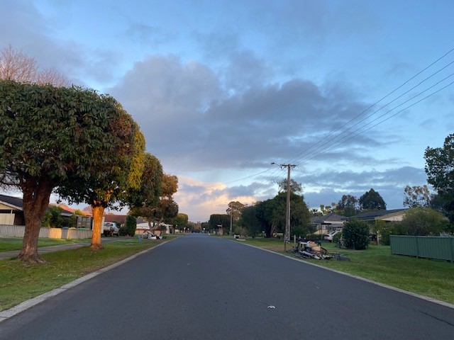 Street with trees lining and household waste piled on the verge