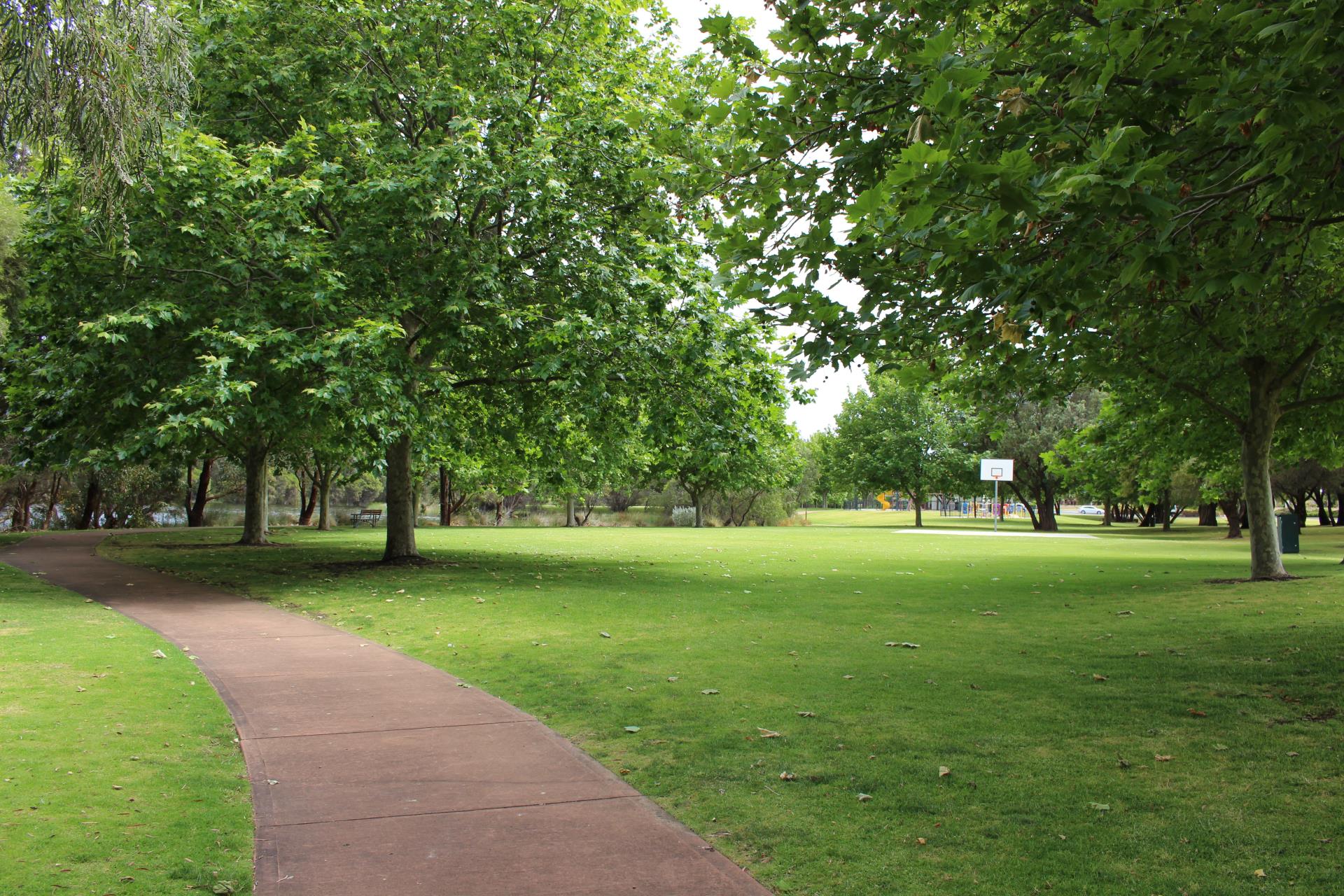 Path in park with large grassed area