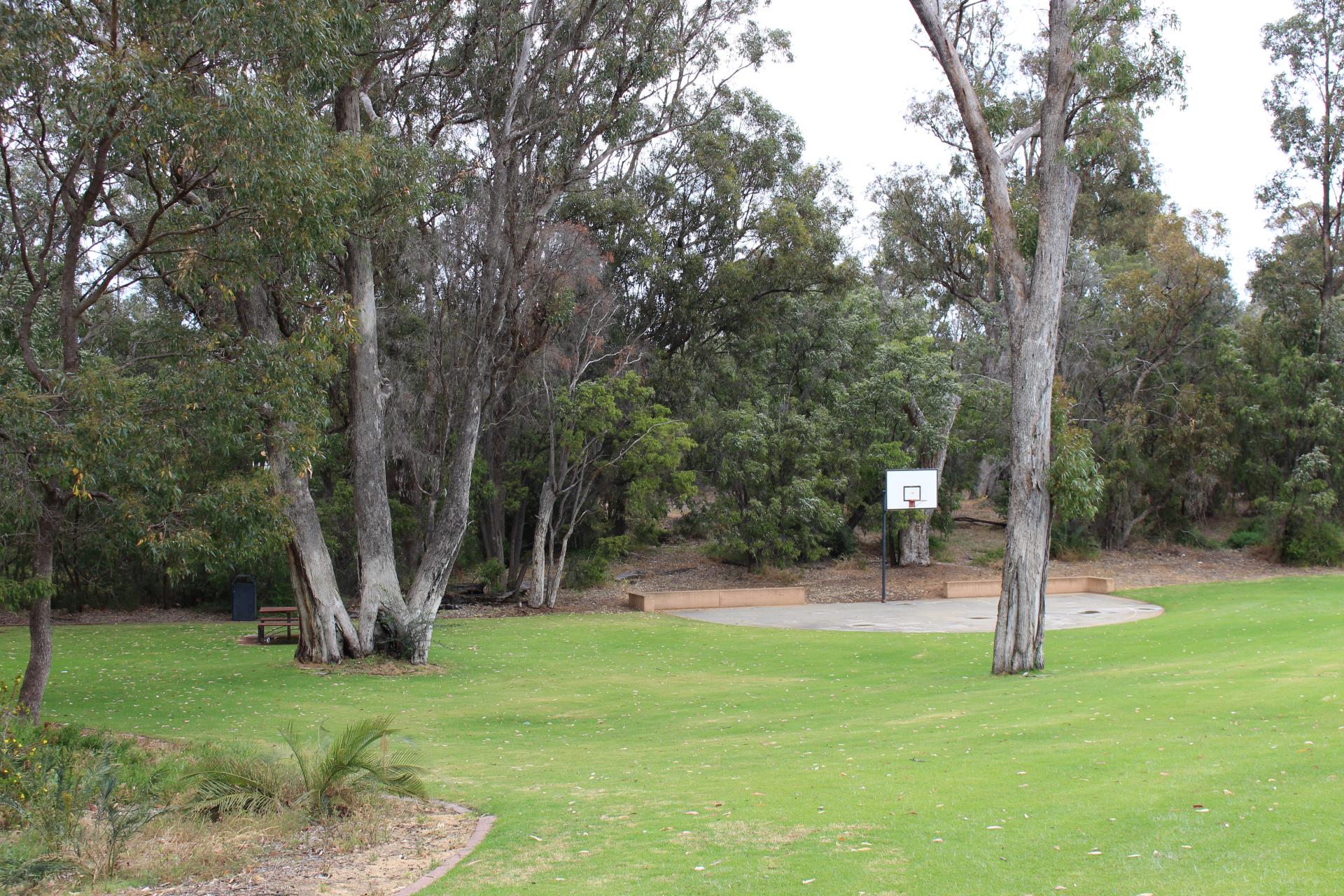 Lawson park central basketball half court