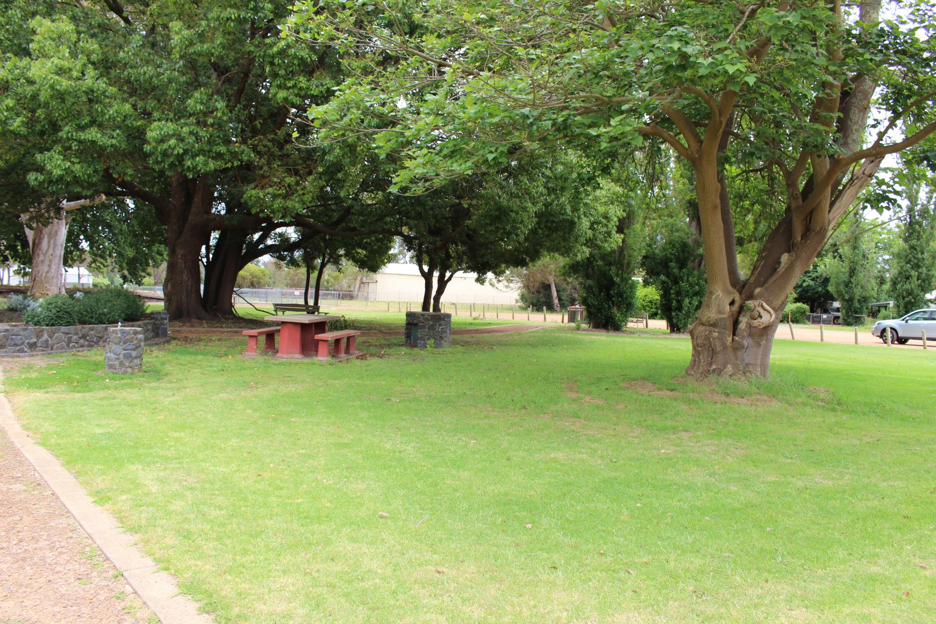 Picini table under trees 