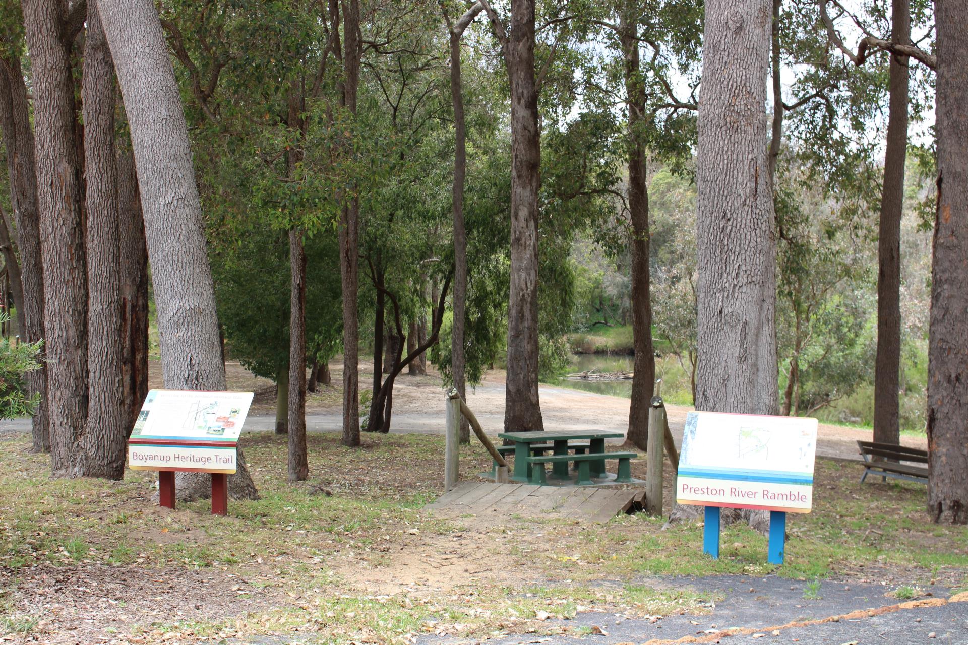tall trees with picnic benches