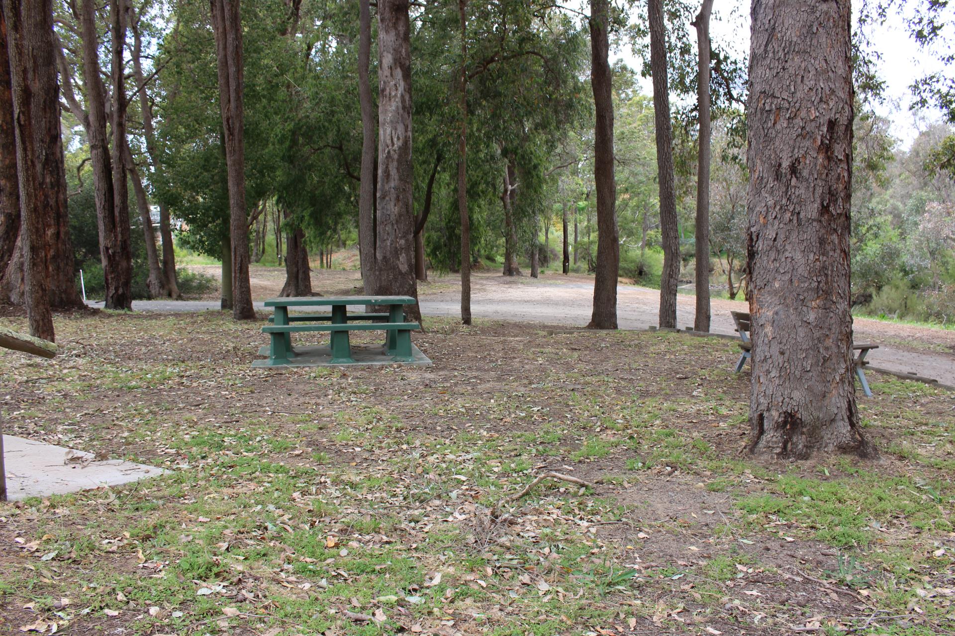 Picnic benches in park