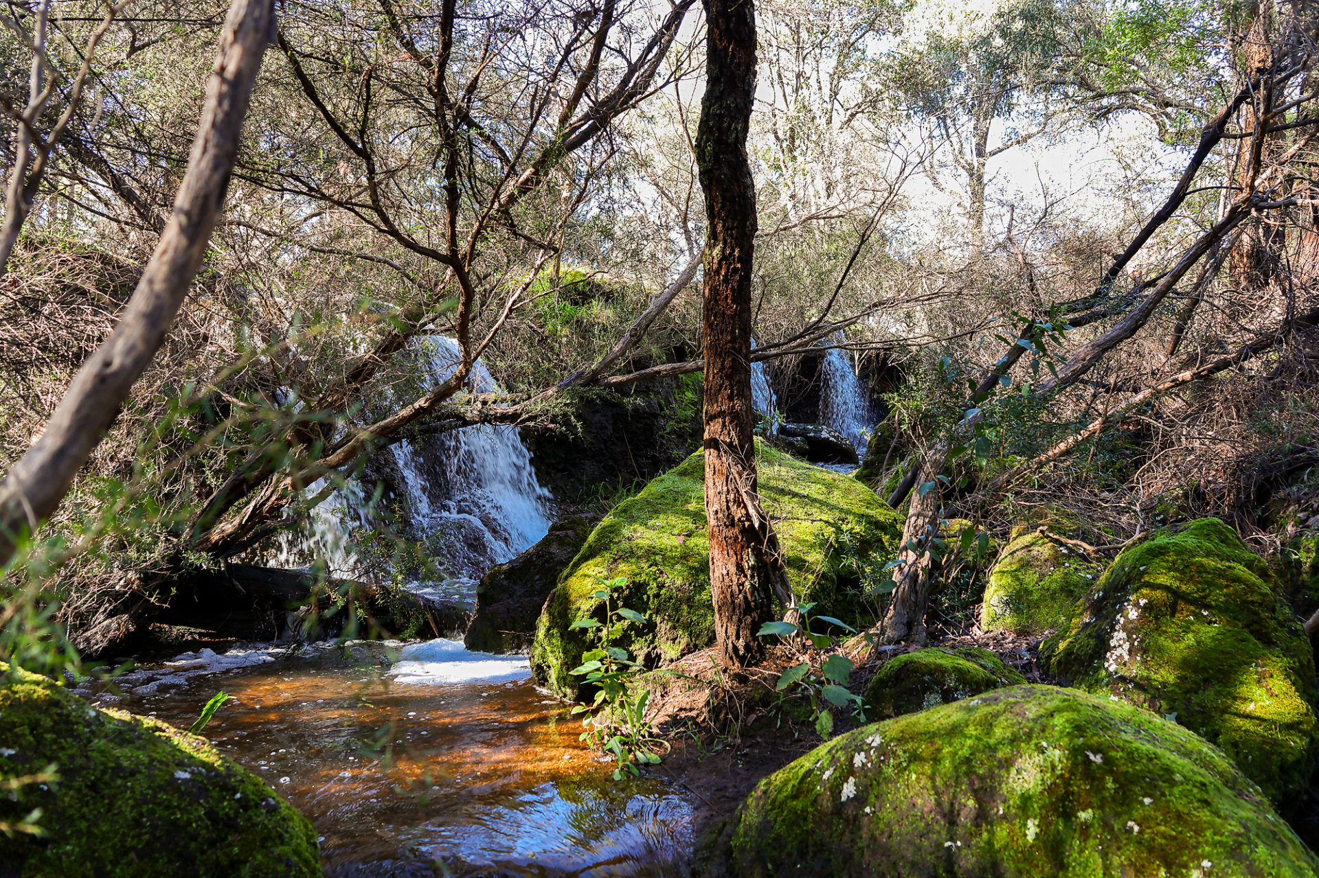 Calling for community representatives- Shire of Capel Trails Management