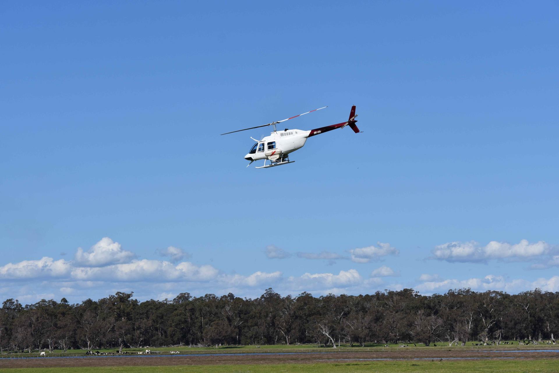 3rd Mozzie Helicopter Treatment of the season