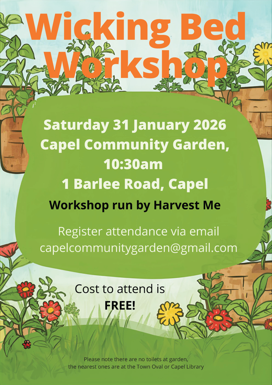 Wicking Bed Workshop