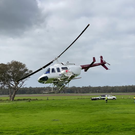 Helicopter Mosquito Treatment