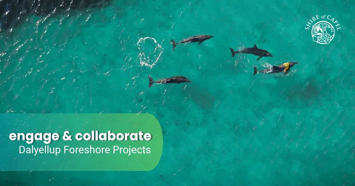 Our Coast. Our Future: Have Your Say on Dalyellup’s Foreshore