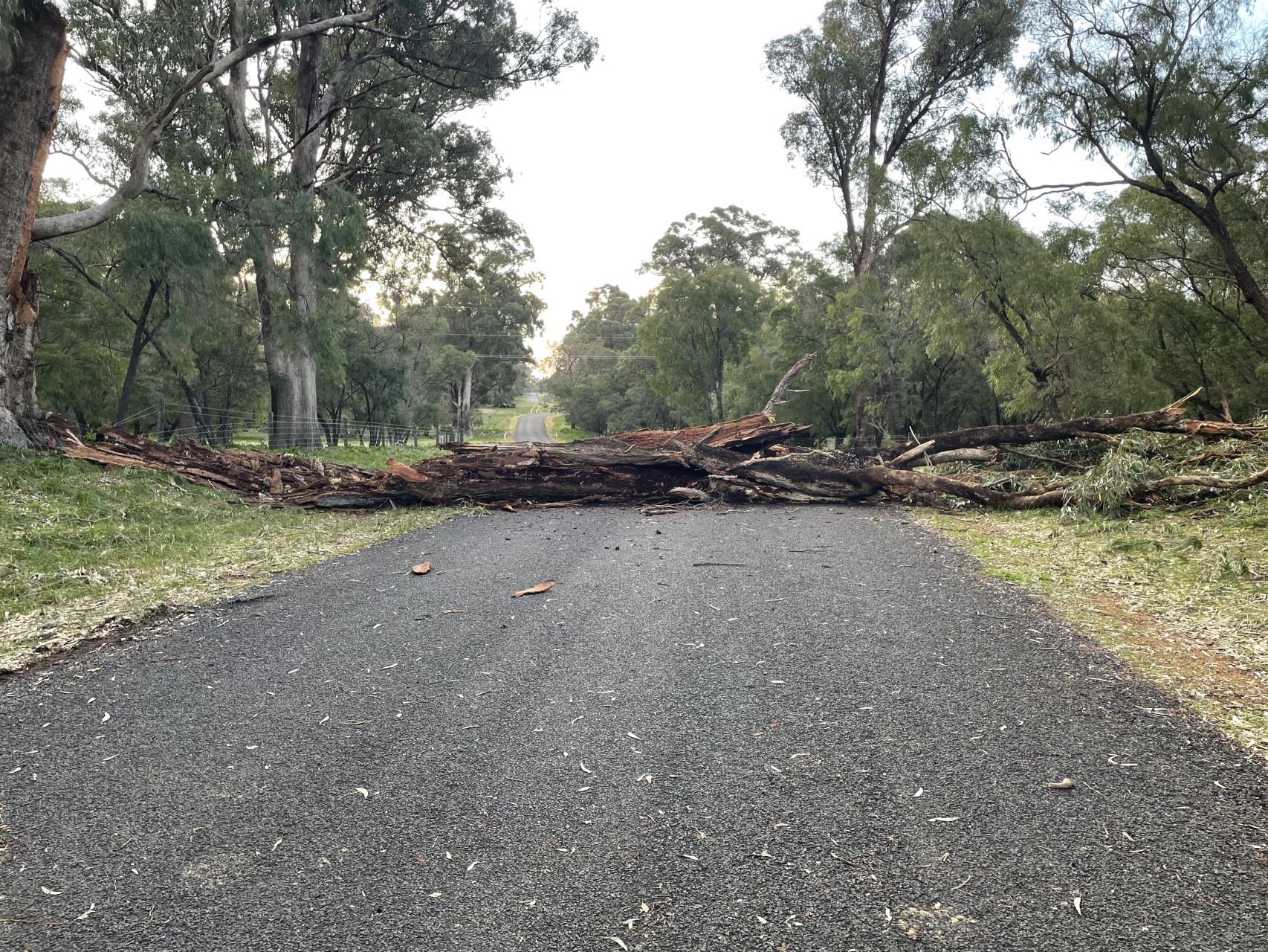Storm Damage Managed Quickly and Efficiently by our Shire Crew!