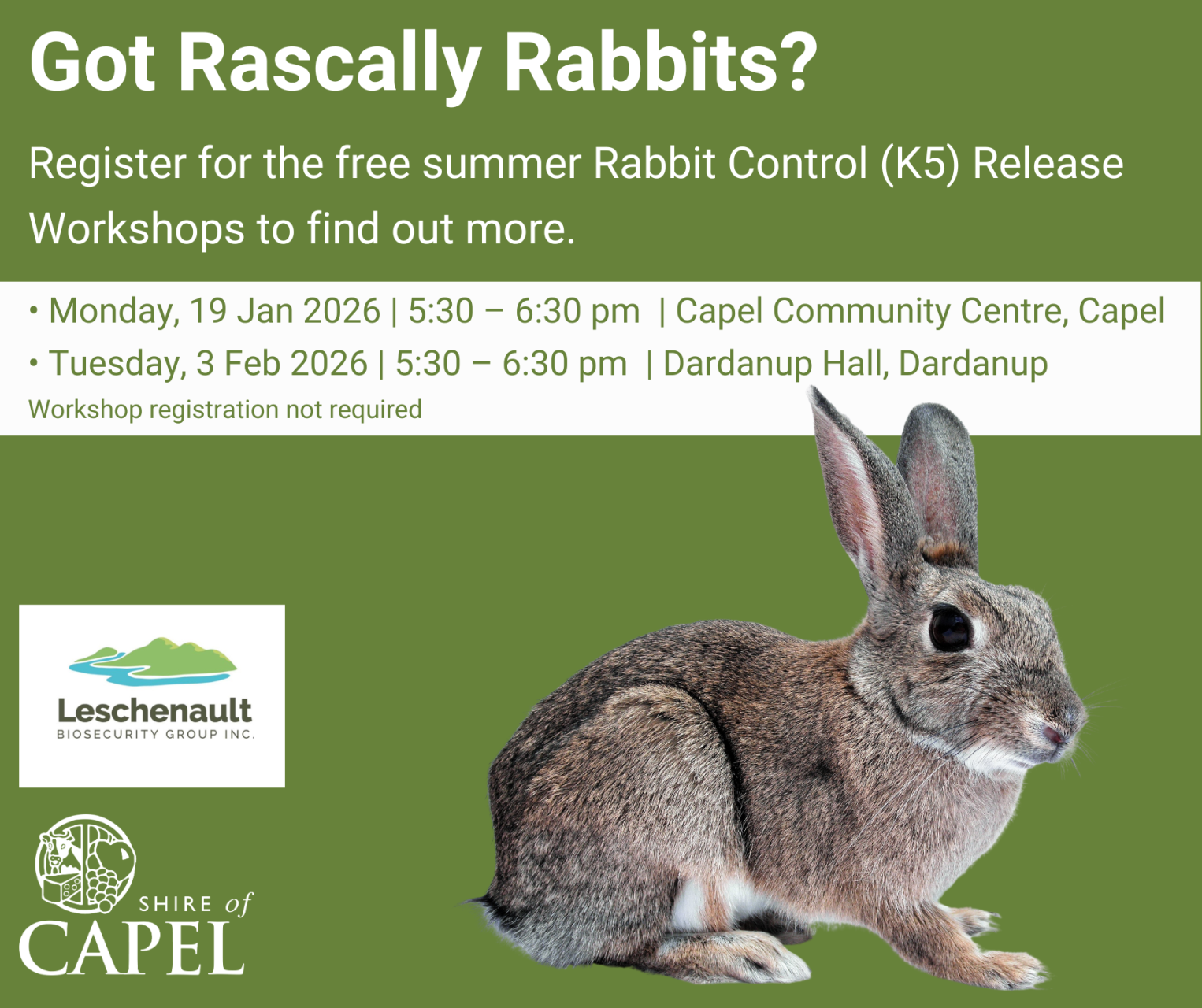 Got Rascally Rabbits?