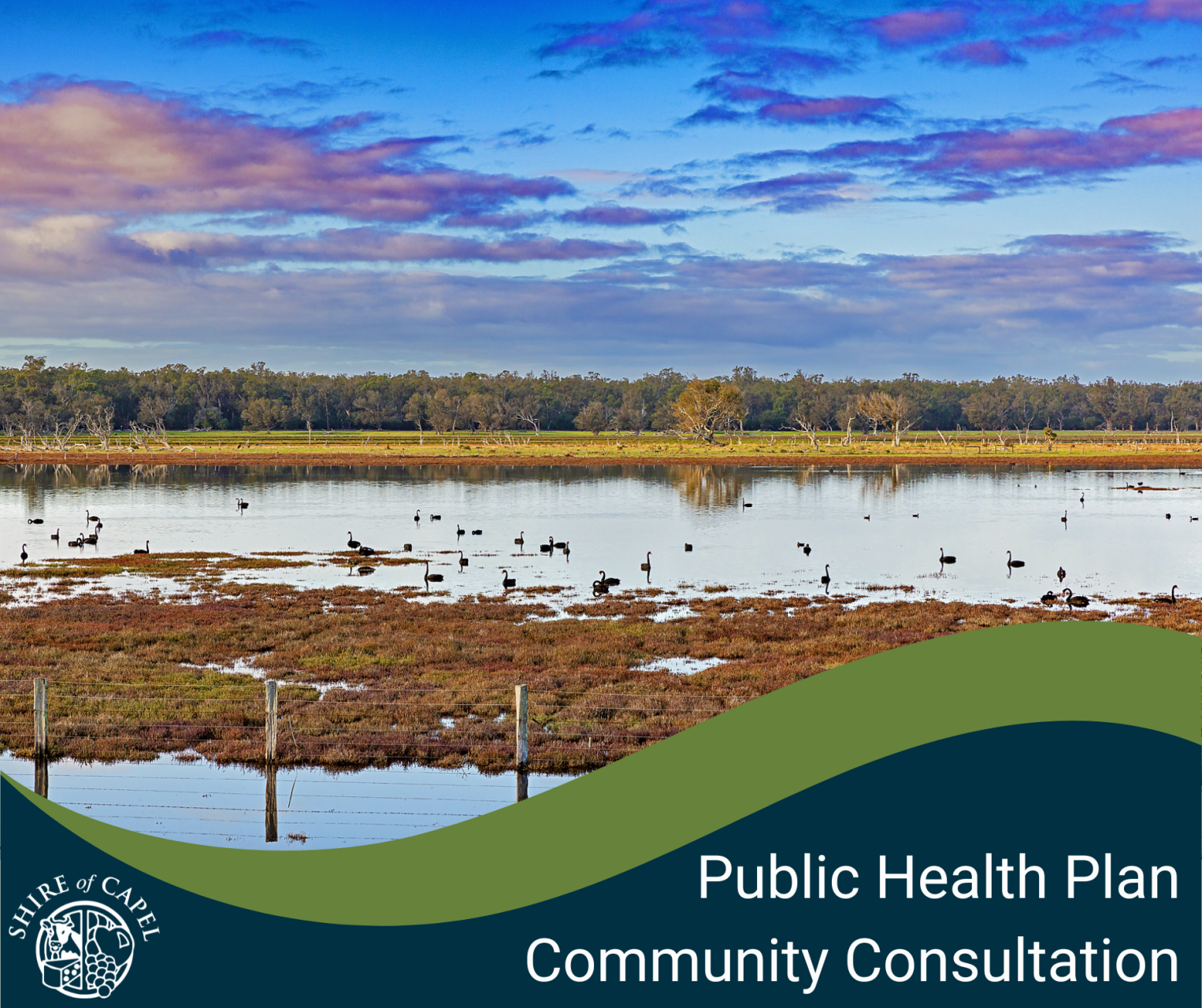Have Your Say: Draft Public Health Plan 2026–2030
